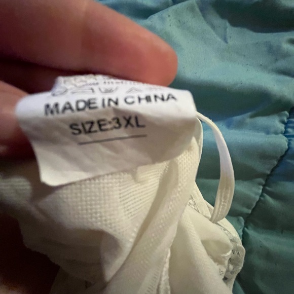 SHEIN lace mesh bodysuit - Picture 3 of 3